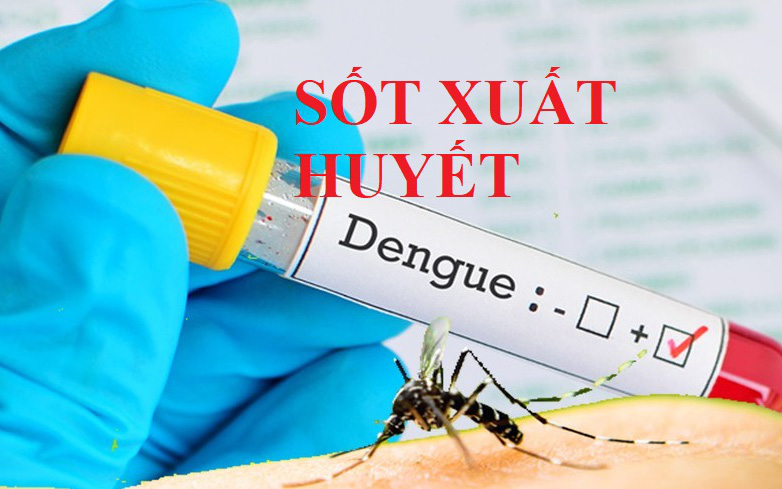 Sốt xuất huyết vào mùa, Viện Pasteur tích cực thả muỗi